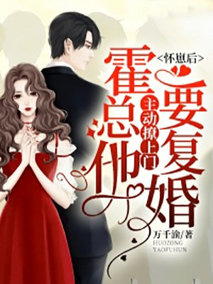 怀崽后，霍总他主动撩上门要复婚