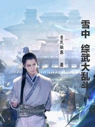 雪中：综武大乱斗