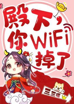 殿下，你wifi掉了